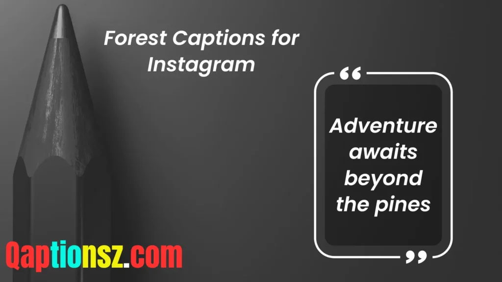 Adventure Forest Captions