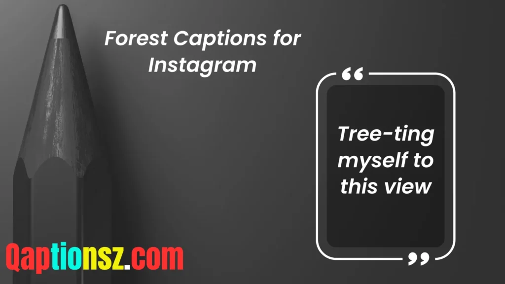 Funny Forest Captions