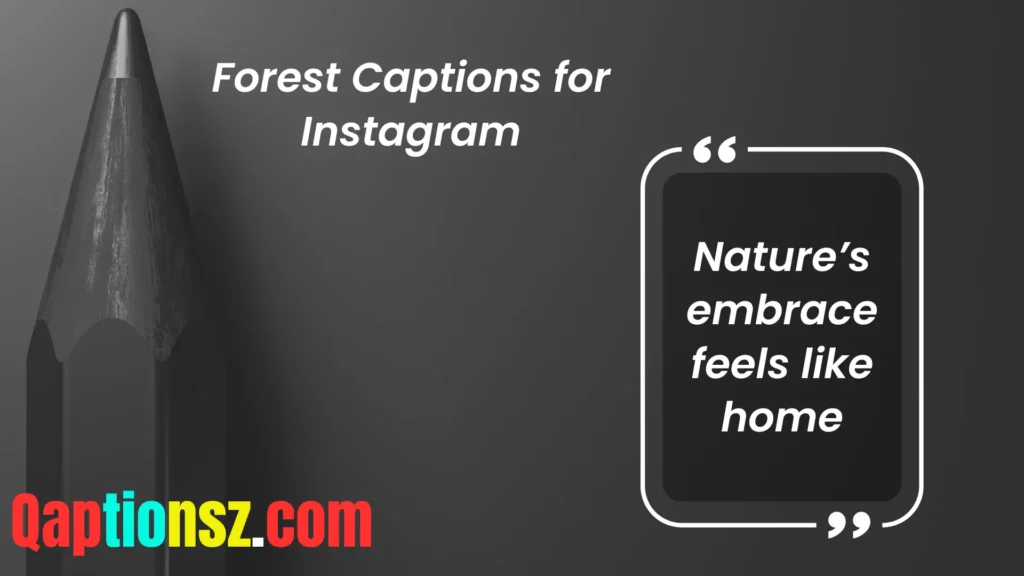 Inspirational Forest Captions