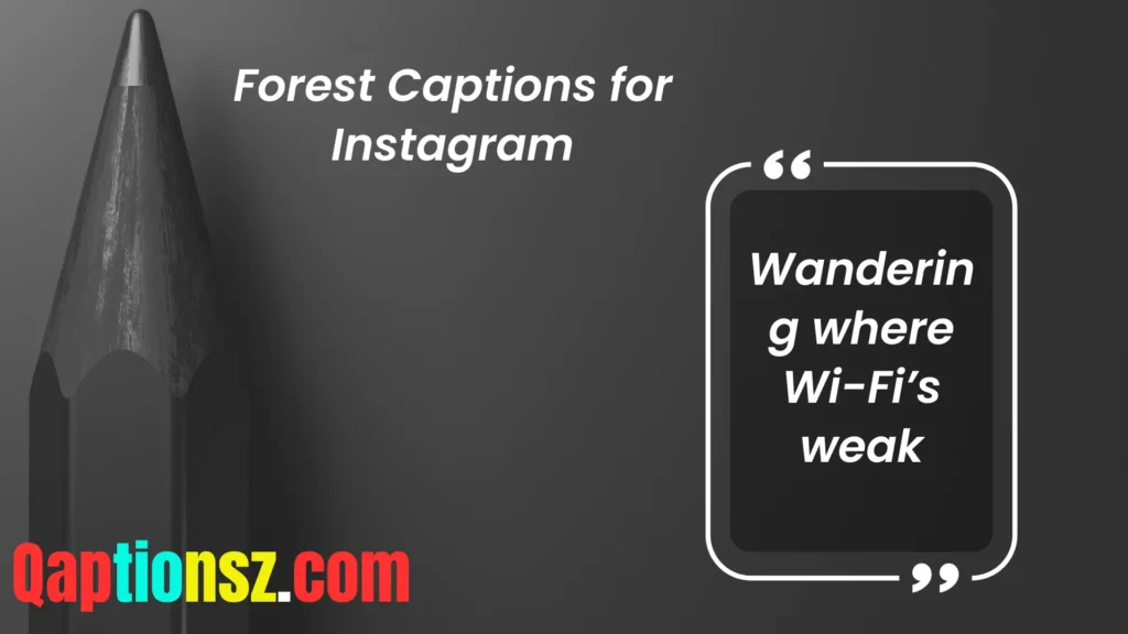 Short and Sweet Forest Captions