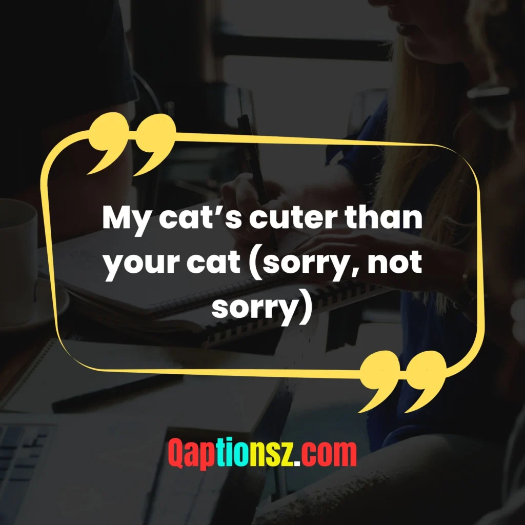 Cute Cat Captions