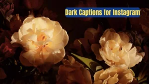 Read more about the article 291 Mysterious Dark Captions for Instagram with a Touch of Drama 2025