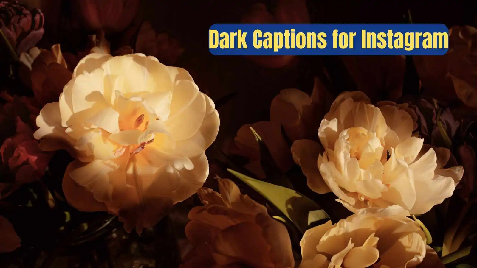 You are currently viewing 291 Mysterious Dark Captions for Instagram with a Touch of Drama 2025