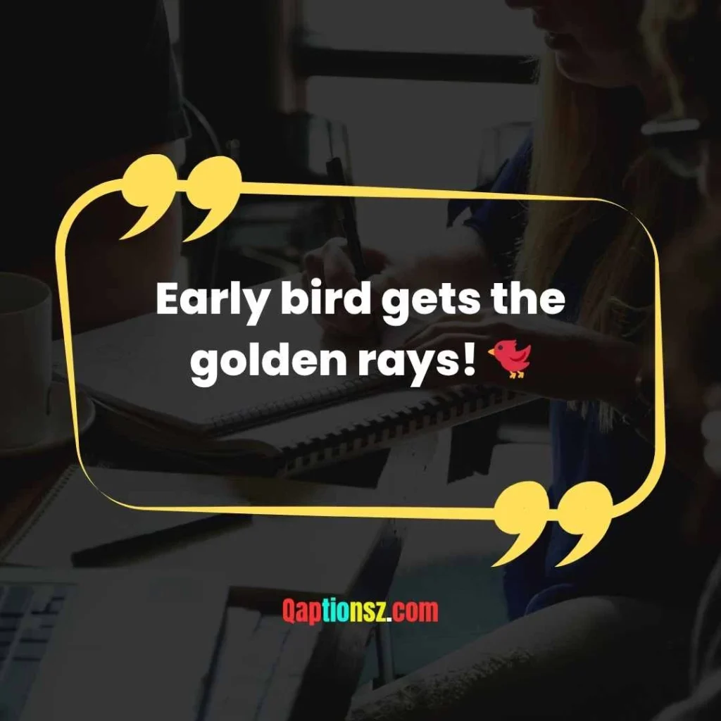 Morning Sunlight Captions