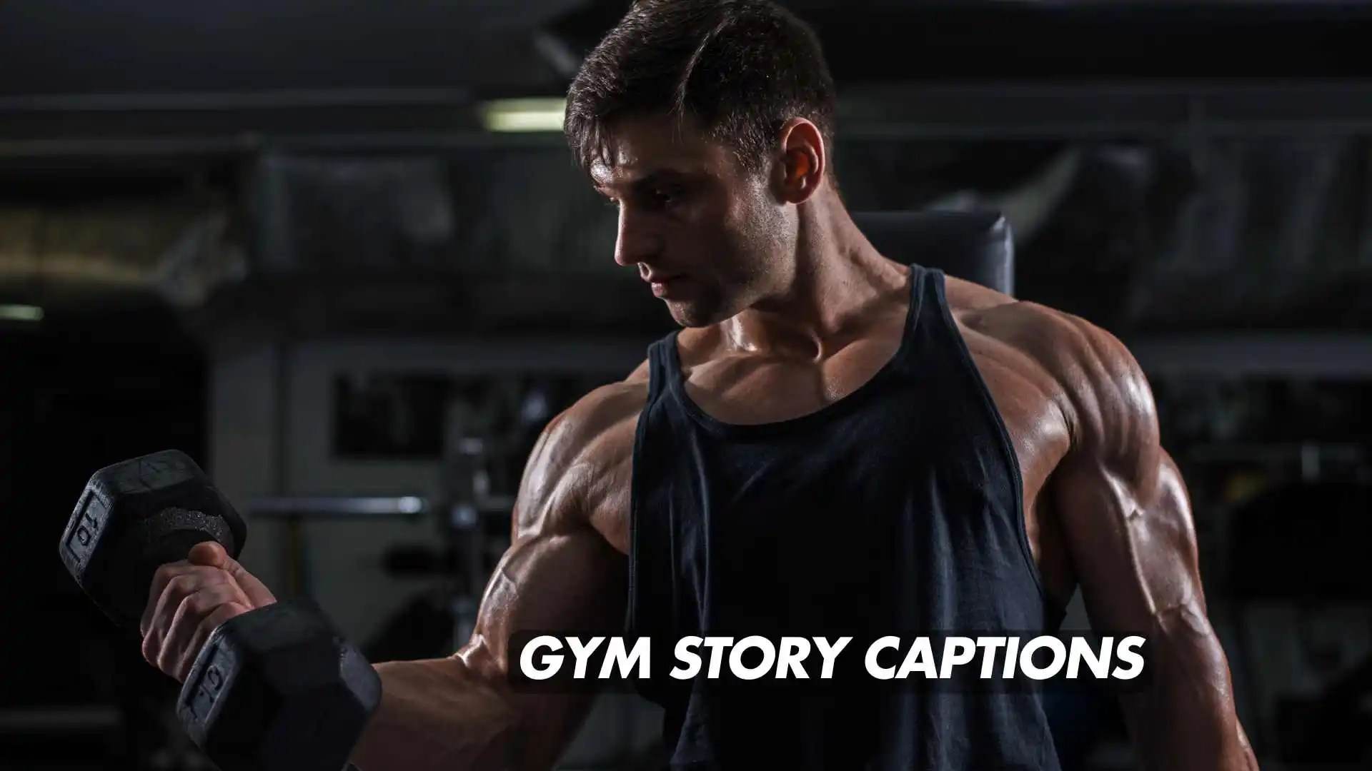 Read more about the article 347 Best Gym Story Captions for Instagram 2025