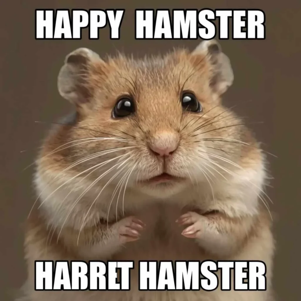 People Relate to the Sad Hamster