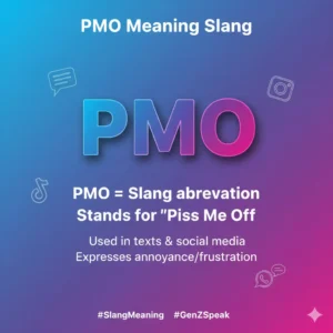 Read more about the article PMO Meaning Slang: The Complete Guide for 2025