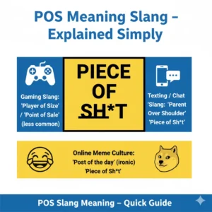 Read more about the article POS Meaning Slang 2025