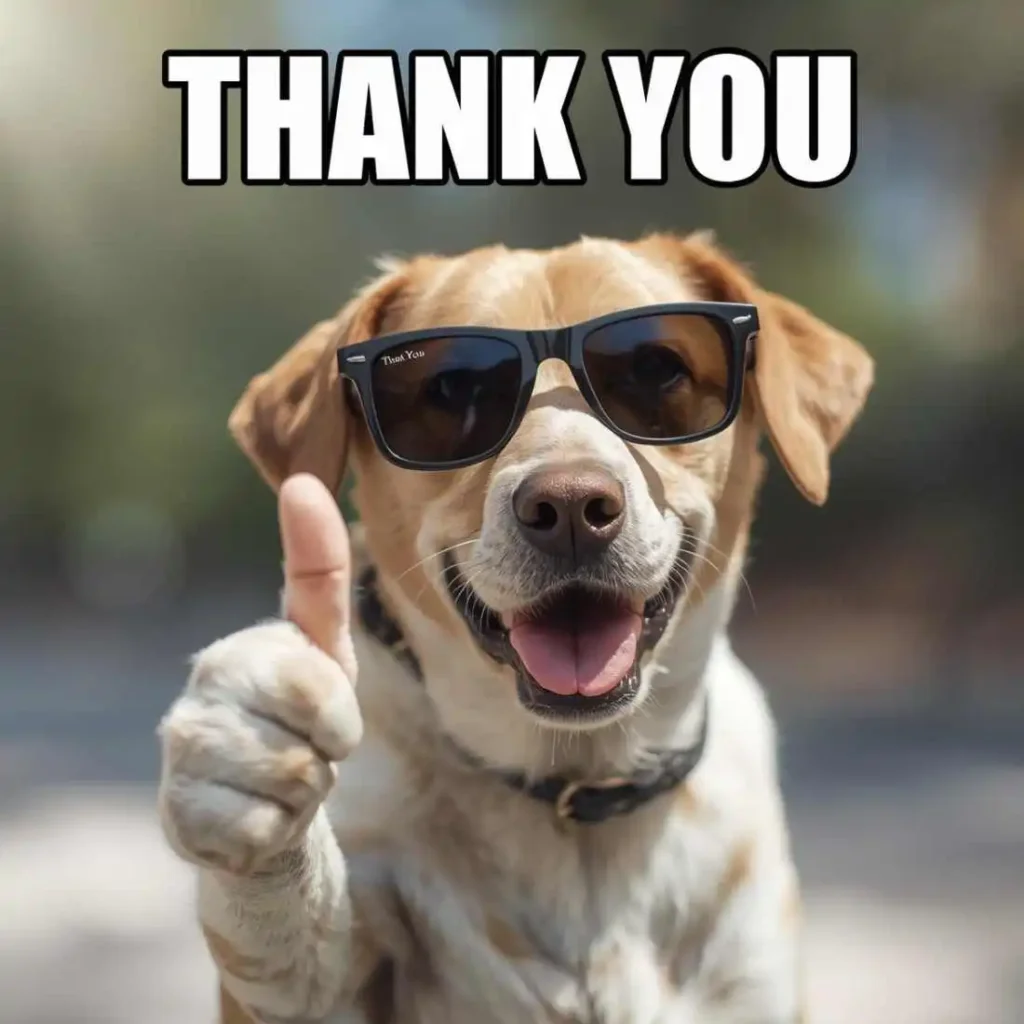 Psychology Behind Thank You Memes