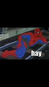 Read more about the article Top Trending Spiderman Meme 2025