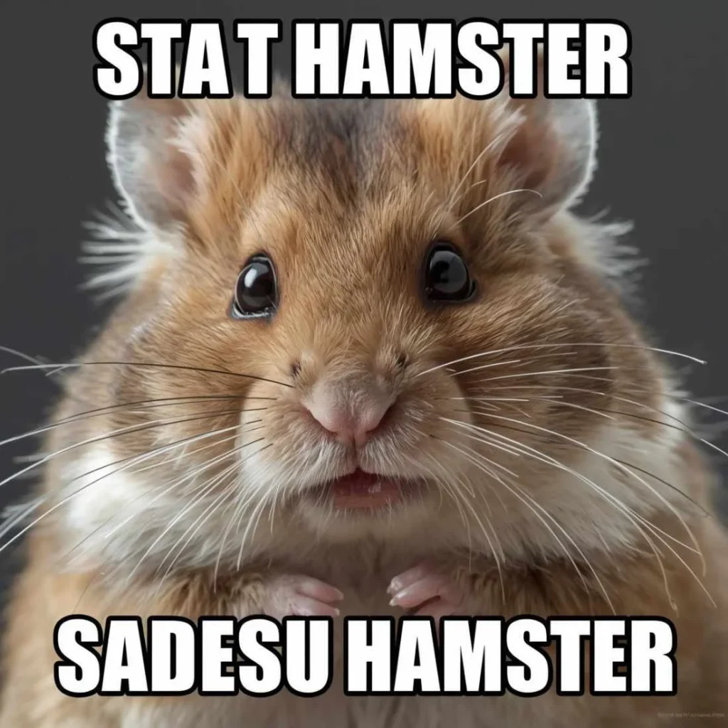  Viral Hamster Meme Trend
