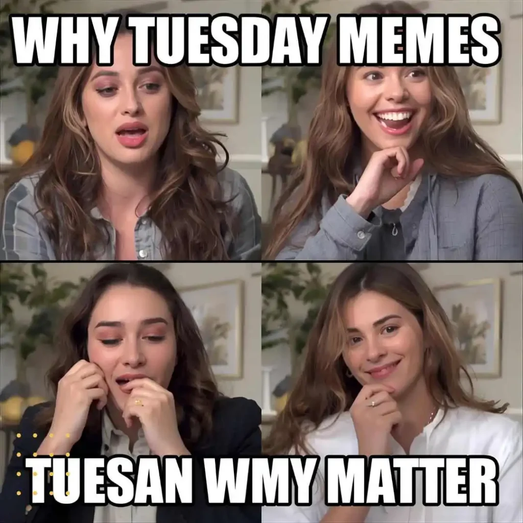 Why Tuesday Memes Matter