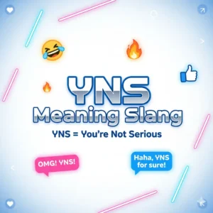Read more about the article YNS Meaning Slang 2025