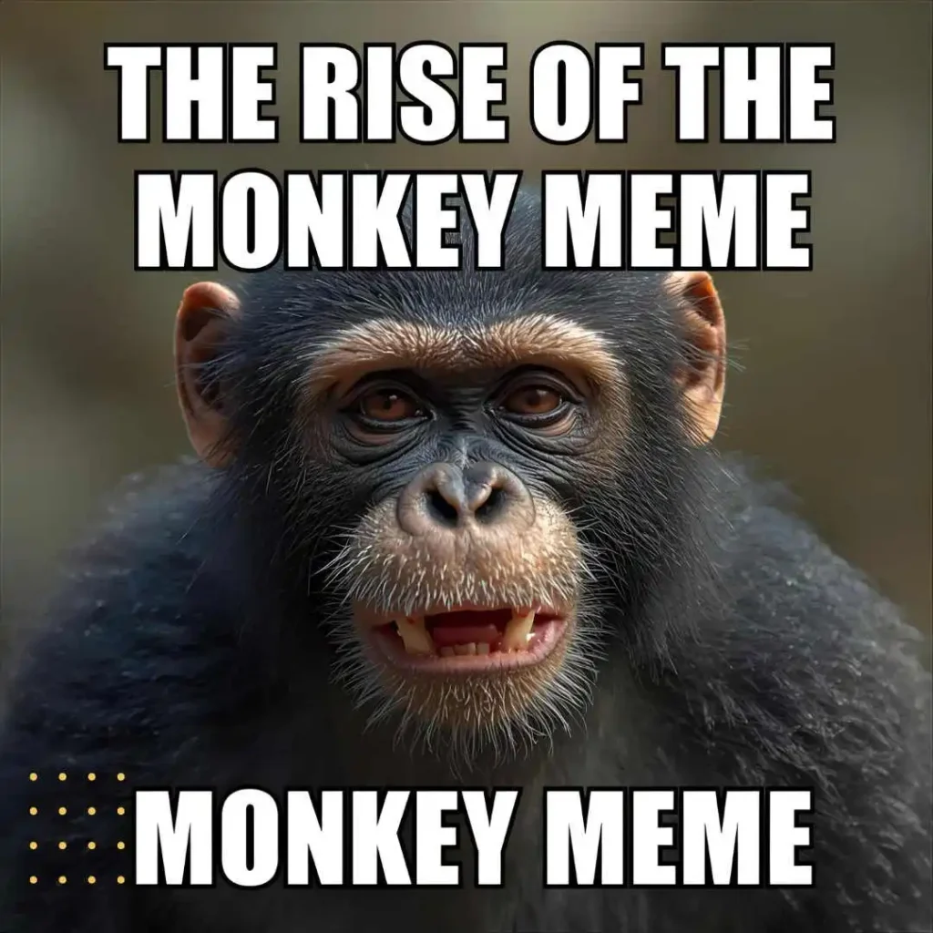 The Rise of the Monkey Meme
