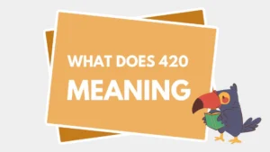 Read more about the article What Does 420 Mean? (Full Meaning, Origin & Modern Use Explained)