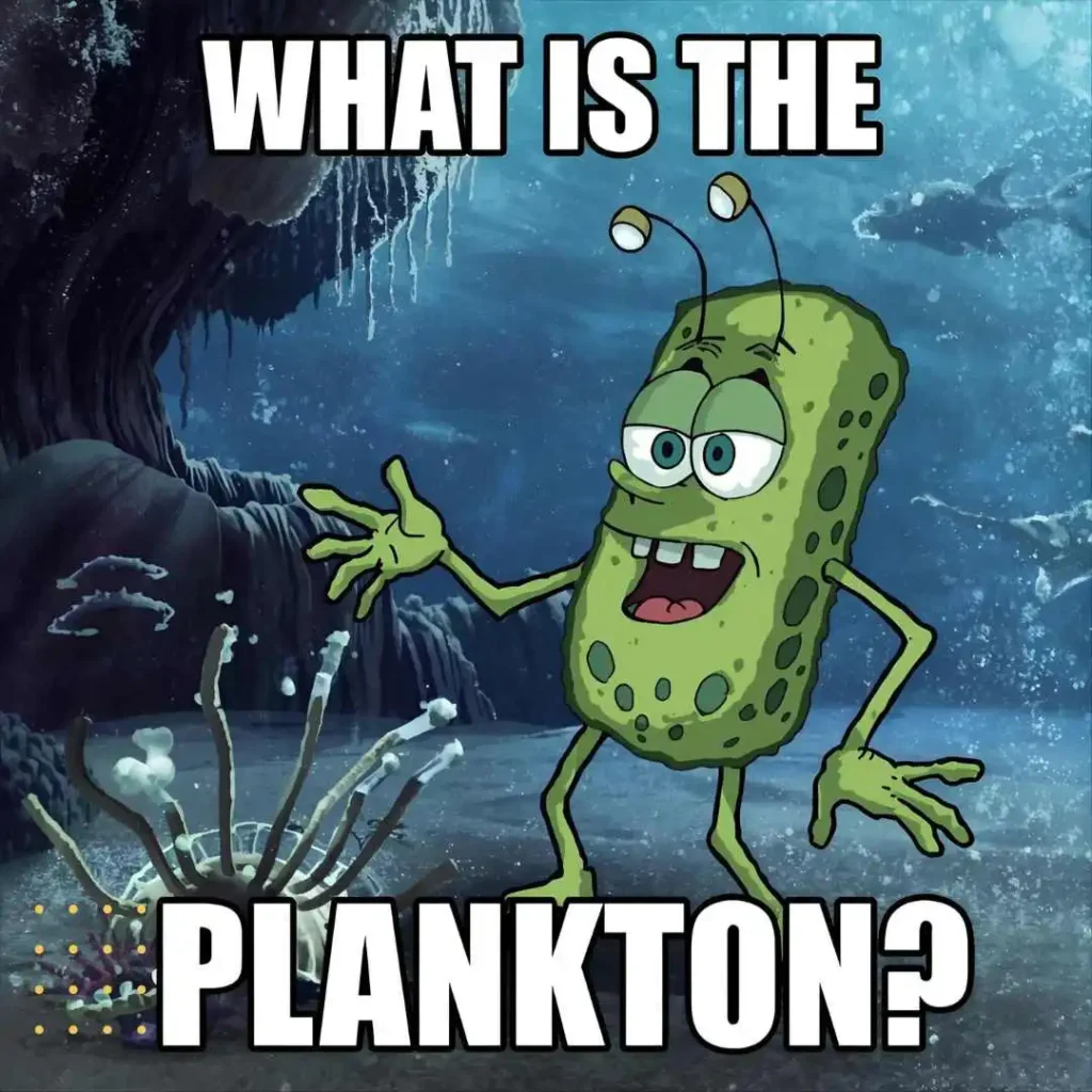 What Is the Plankton Meme