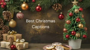 Read more about the article 334 Best Christmas Captions That Spread Joy, Love, and Cheer 2025
