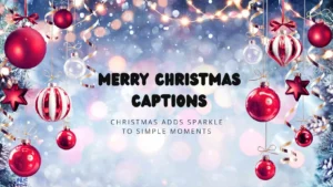 Read more about the article 247 Merry Christmas Captions to Spread Holiday Cheer 2025