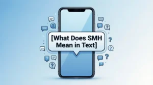Read more about the article What Does SMH Mean in Text