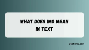 Read more about the article What Does IMO Mean in Text Complete Meaning & Usage Guide 2026