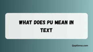Read more about the article What Does PU Mean in Text Complete Explanation for Beginners 2026
