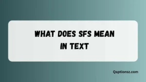 Read more about the article What Does SFS Mean in Text? Full Meaning and Common Uses 2026