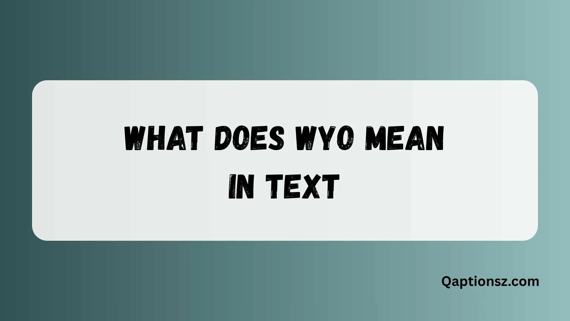 You are currently viewing What Does WYO Mean in Text? Full Meaning Explained for Beginners 2026